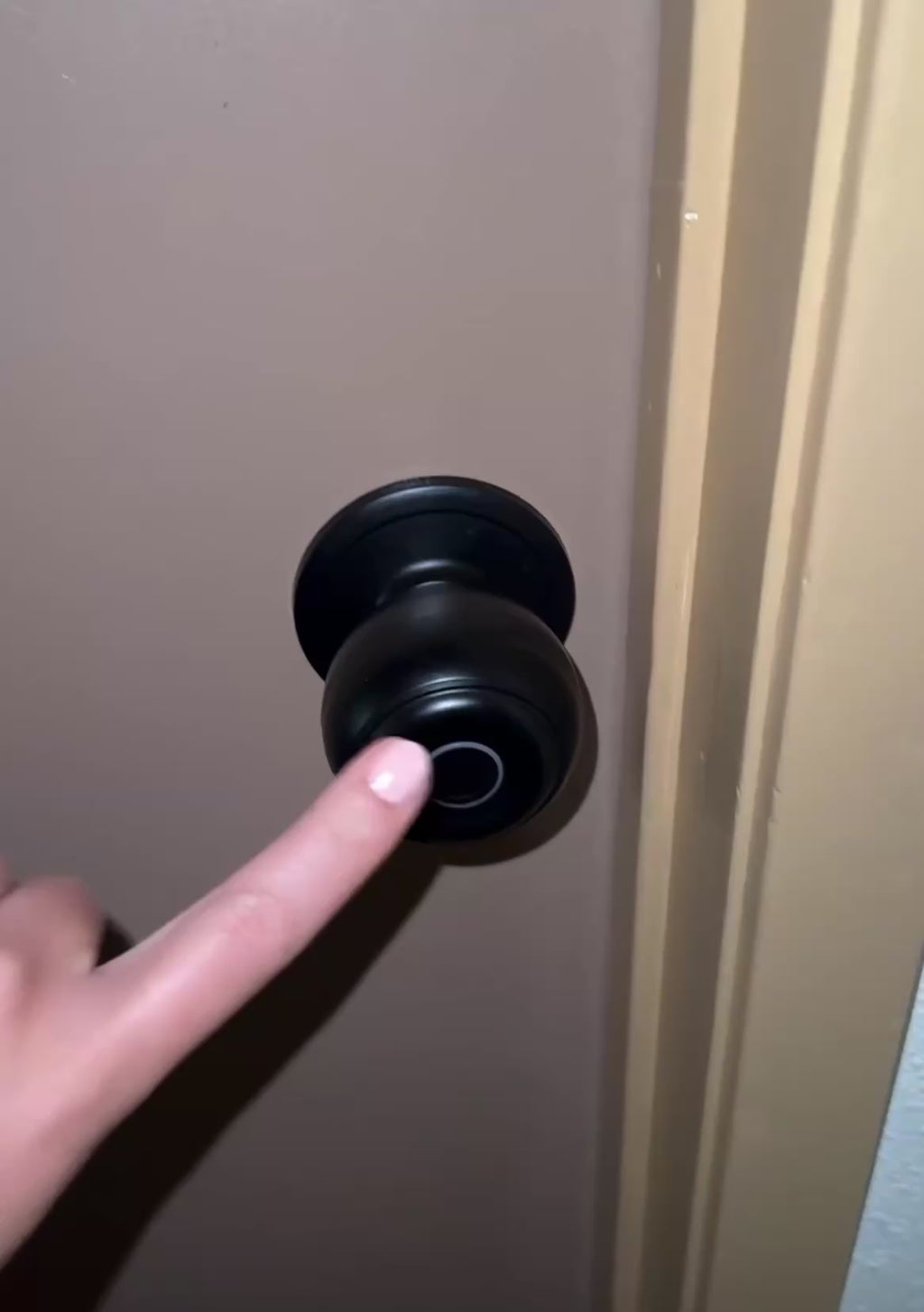 Security Door Knob by Stonewell Home