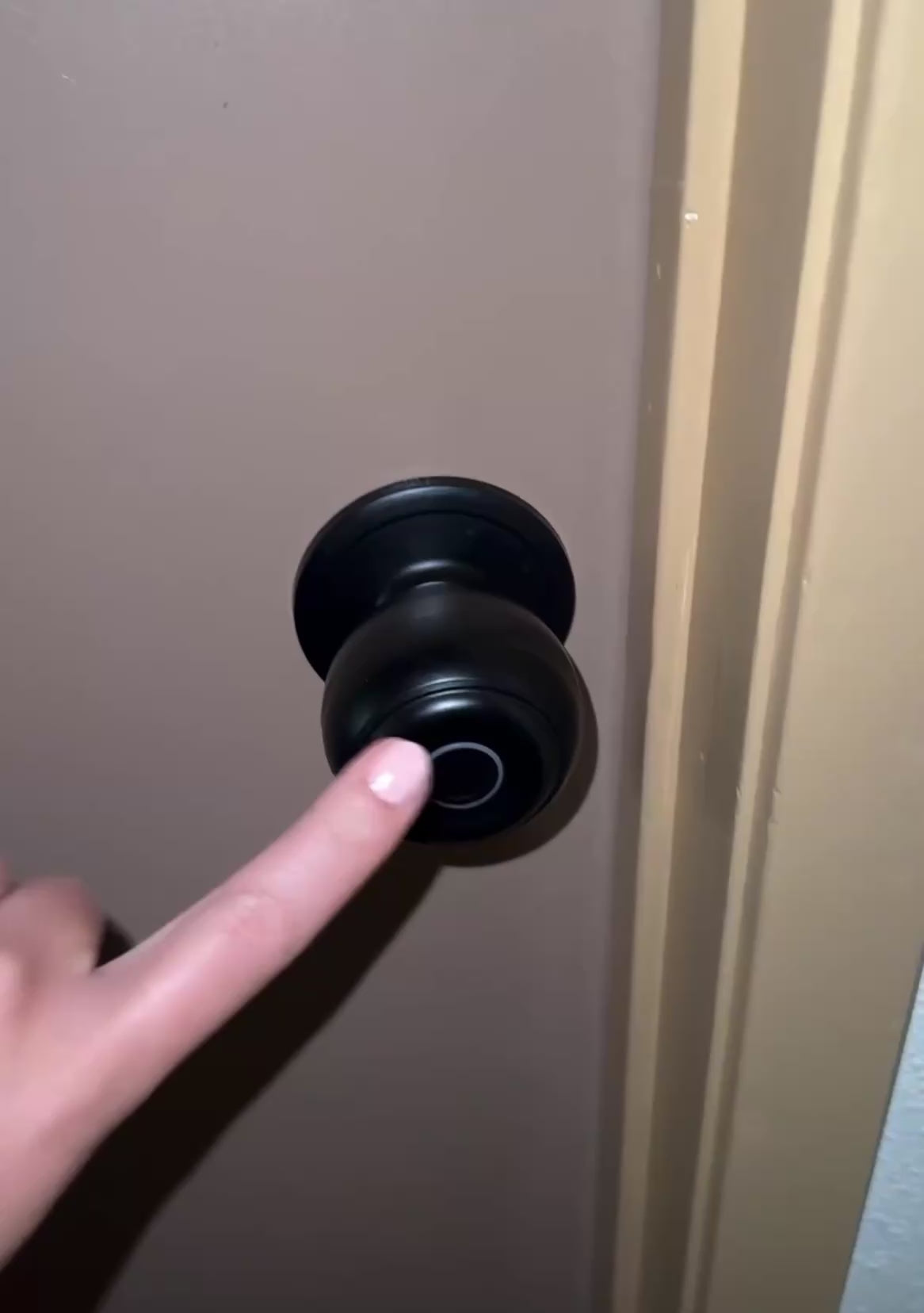 Security Door Knob by Stonewell Home